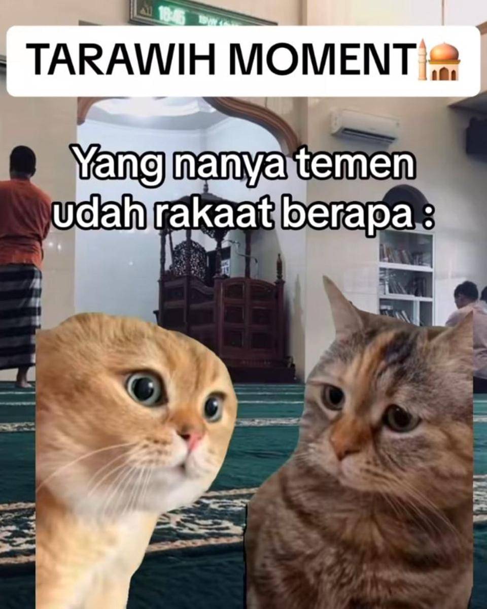 Instagram.com/memekucingofficial